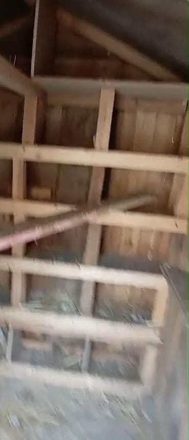 домики для собак: Taxta göyərçin hinı – funksional daxili quruluşla - Material — 3