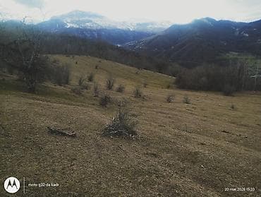 turkanda heyet evleri 2020: Kənd təsərrüfatı — 1