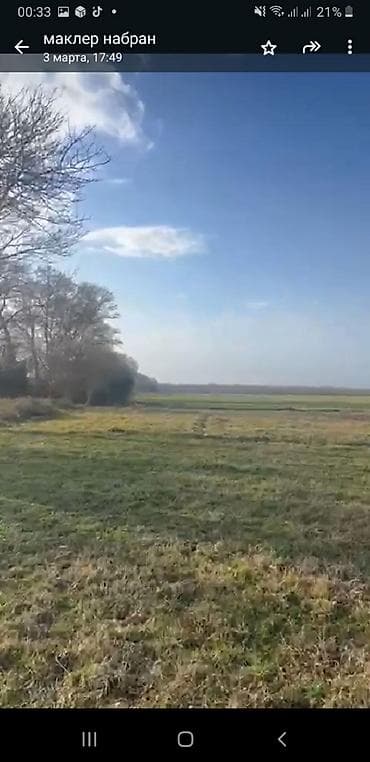 54 sot, Kənd təsərrüfatı, Maklerlər narahat etməsin, Kupça (Çıxarış) — 4