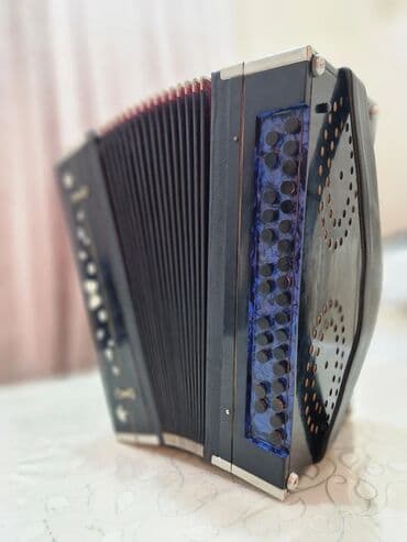 Пианино: Акустический Аккордеон — 3