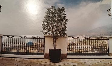 raşotkalar: Qaynaq — 6