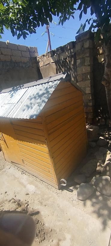 giris qapi: Taxta toyuq/broder evi - Material: qalın taxta karkas, üstü — 3