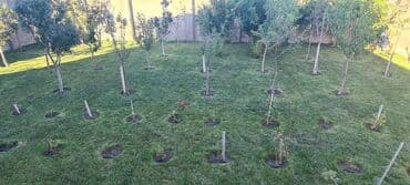 yevlax ev elanlari: 150 kv. m, 4 otaqlı — 15