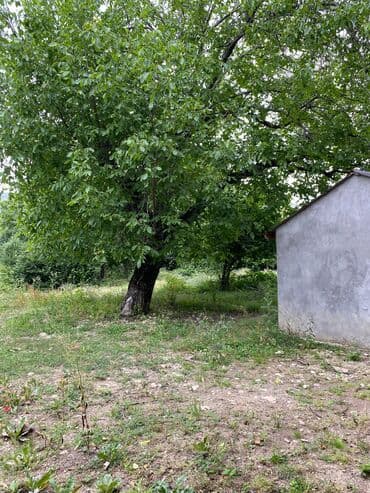 memar ecemi kiraye ev: Tikinti, Mülkiyyətçi — 1