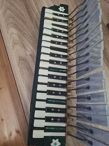 MELODİKA KLAVİATURASI VƏ DİLÇƏKLƏRİ (EHTİYAT HİSSƏ) - Musiqi aləti
