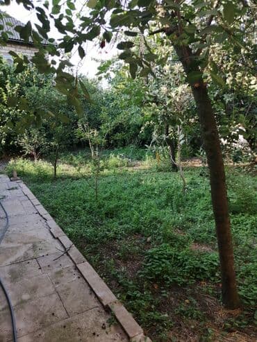 арендовать квартиру в баку: Obyekt: Köhnə üslubda, geniş otaqlara və böyük pəncərələrə malik — 10