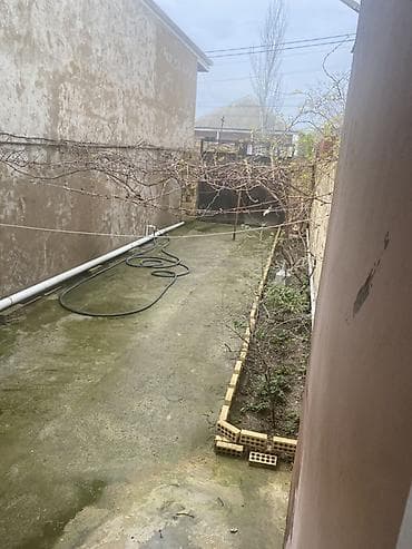 razinde heyet evi: Həyət evi – həyət və daxili məkanlarla - Qapalı həyət: üstü örtülü — 2