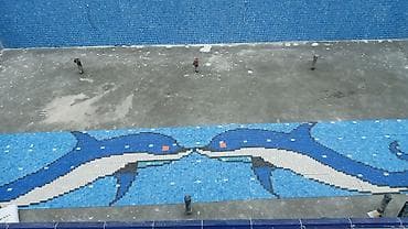 baseyn dermanlari: Hovuz tikintisi, hovuz təmiri, hovuz mozaika işləri — 6