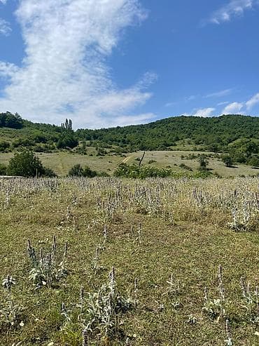 12 sot, Tikinti, Mülkiyyətçi, Kupça (Çıxarış), Bələdiyyə, Texniki pasport