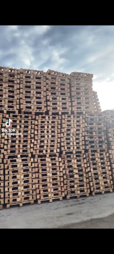 Jeep: Pallet, 1000 х 1200 sm, Kredit yoxdur — 1