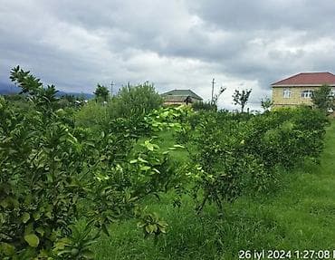 1 otagli evler: Geniş və işıqlı evin ikinci mərtəbəsində yerləşən dəhliz/zal satılır — 6