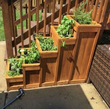 suni bitki: Dibçək və dibçək atlıqlarının sifarişlə hazırlanması Qiymət minimum — 2