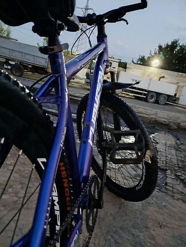 velo strim: Şəhər və yüngül off-road üçün dağ velosipedi - Rəng: mavi metalik — 8
