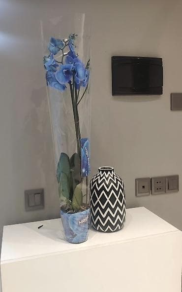 Vaza cox az istifade edilib