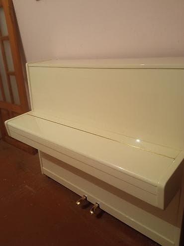 Piano, Petrof, Akustik, Ödənişli çatdırılma