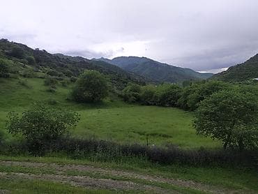tələbə evi: Kənd təsərrüfatı — 1