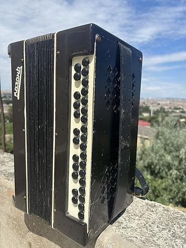 Akkordeonlar: Akustik Akkordeon, Yeni, Ünvandan götürmə, Ödənişli çatdırılma — 3