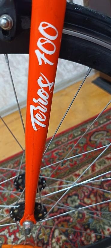 Şəhər/trek tipli Fixed/Single-speed velosiped – Terros 700 — 1