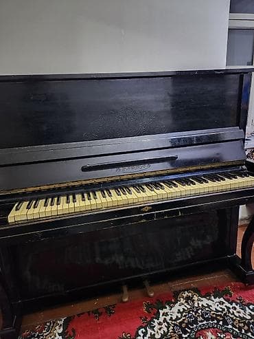 futbol forması: Piano, Belarus, Akustik, İşlənmiş, Ünvandan götürmə — 4