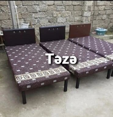 Otaq bitkiləri: Kravat Təzə hazırları var Çatdırılma münasib qiymətə Bir nəfərlik — 1