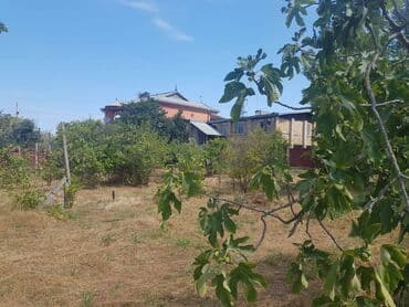 dübəndi torpaq: 23 sot, Tikinti, Makler, Kupça (Çıxarış) — 13