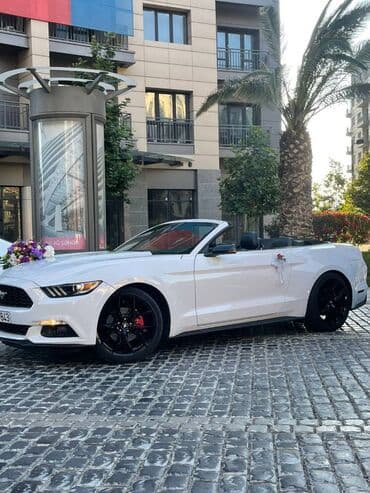 gence lenkeran avtobus: Toy, Nişan və digər tədbirlər üçün sifariş edə bilərsiz. ( Qiymət — 4