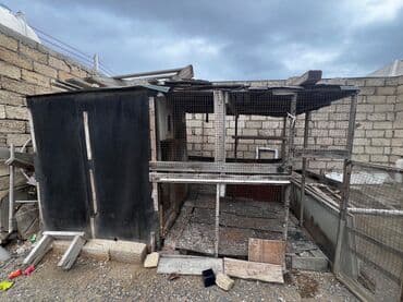 göyərçin yuvaları: Satılır: Taxta konstruksiyalı quşxana/güvercinxana - Material: ağac — 1