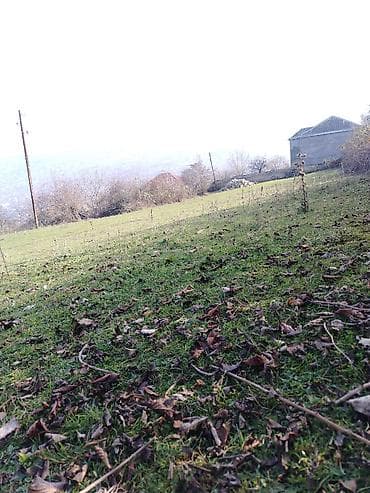 Otaqlar: 14 sot, Tikinti, Mülkiyyətçi, Kupça (Çıxarış) — 3