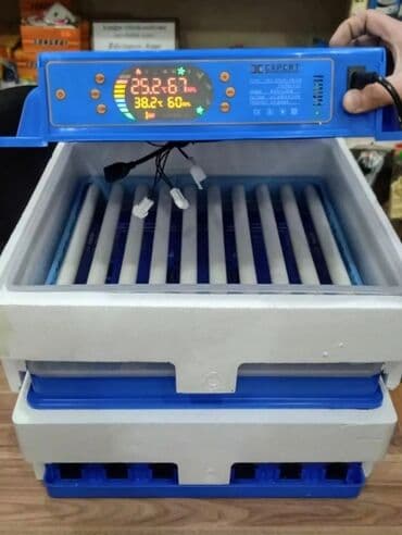 hinduska yumurtasi nece gune cixir: Expert şirkətinin rəsmi istehsalı olan, android-rejimli aparatların — 14