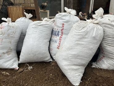 сливочное масло в баку: Məhsul: Təbii gübrə ( mal peyini) Setkadan keçirilmiş təmiz quru — 1