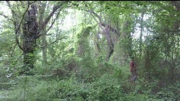 домики в набране: NABRAN. Torpaq sahəsi 20 sot (ELFARRO HOTELIN ARXASINDA) – — 3