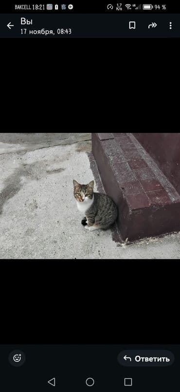 1 otagli ev: M.Ə. Rəsulzadə qəs. 4 otaqlı, 330 kv. m, Təmirsiz — 17