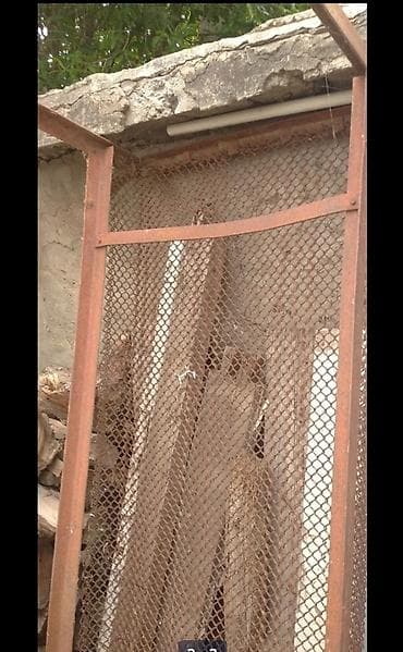 2 eded kravat, bir kravatin basliqlari tekstalitdi, paslanmir, curumur