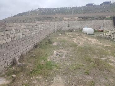 hasa: 9 sot, Tikinti, Maklerlər narahat etməsin, Kupça (Çıxarış) — 2