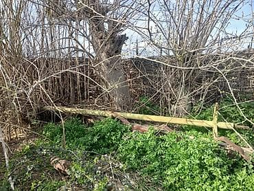 xonca şirniyyat evi: Metal konstruksiya hissələri – kənd təsərrüfatı və tikinti texnikası — 2