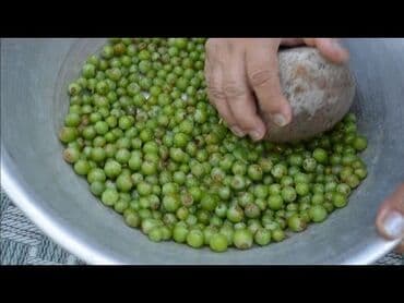 Digər qida məhsulları: Abqora 1litr -15 azn Bu ilin Abqorasidi Unvan: Kurdexani Təmiz Və — 2