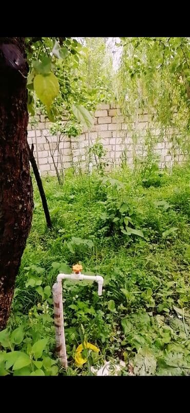 evi kirayələmək yanında: 90 kv. m, 3 otaqlı, Kombi, Qaz, İşıq — 11