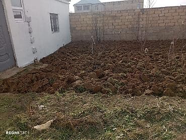ofsiant işi: Həyətyanı torpaq sahələrinin,bağlarin bəllənməsi işləri görülür.qiymet — 1