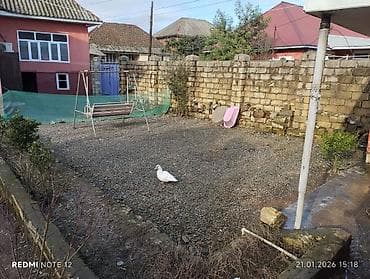 razinde torpaq satilir: 4 sot, Kənd təsərrüfatı, Mülkiyyətçi — 3