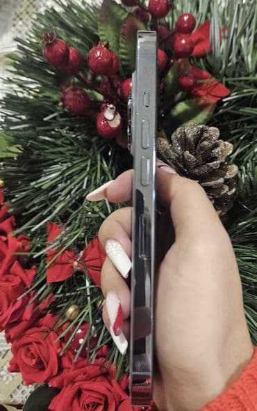 zovqlu ekran ucun sekiller: IPhone 13 Pro, Sierra Blue, Simsiz şarj — 2