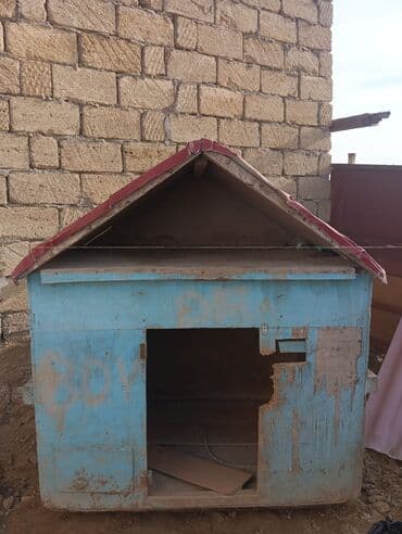 Gəmiricilər: Təcili satılır hündürlüyü 1.60eni 1 metr uzunluğu 1.50 bircə kraska — 1