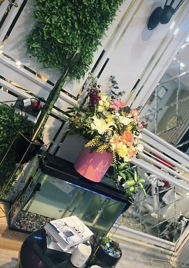 baliq: Dekorativ akvarium – qapaqlı, şüşə korpuslu, LED işıq lentli üst — 2