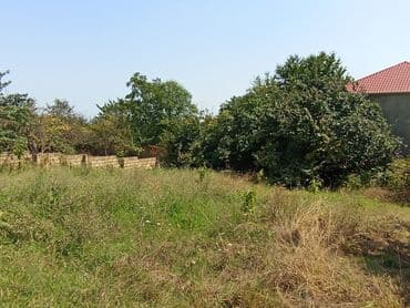 xacmazda torpaq satilir: 6 sot — 3