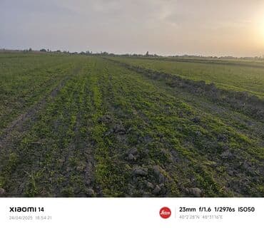 сабирабад: 403 соток, Для сельского хозяйства, Купчая — 1