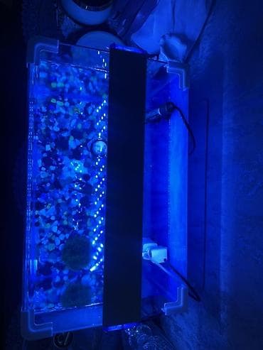 akvariu: LED işıqlı akvarium komplekti - Şəffaf şüşə akvarium, düzbucaqlı — 2