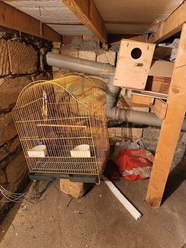 клетки для кур несушек купить в бишкеке: Клетки — 3