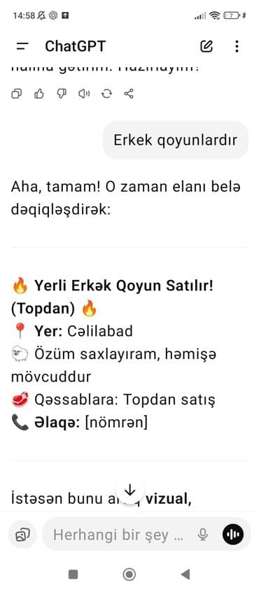 Yerli Erkək Qoyunlar – Topdan - Yer: Cəlilabad - Özüm saxlayıram