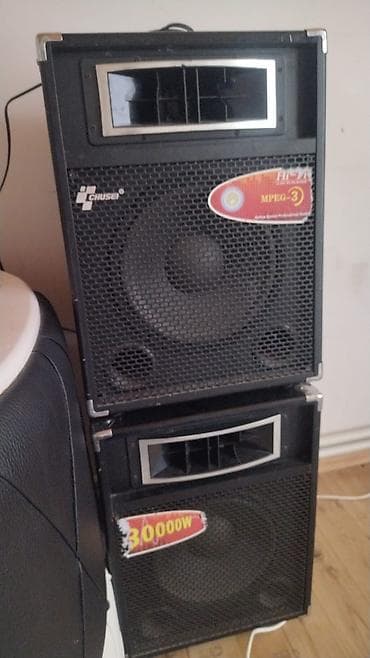 komputerlər ucuz: CHUSE aktiv akustik sistem – 2 ədəd qüllə tipli səsgücləndirici — 2