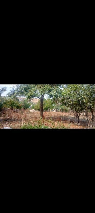 xacmaz torpaq sahesi satilir: 10 sot, Tikinti, Kupça (Çıxarış) — 4