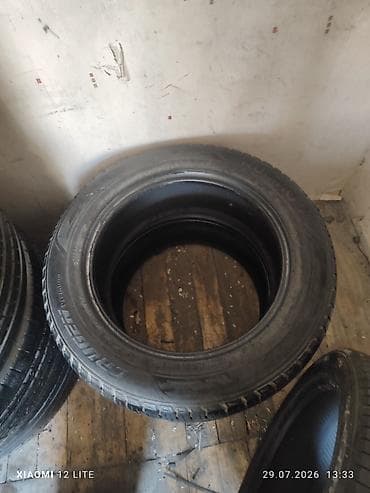 disk niva: Məhsul: Avtomobil şini (yay/turinq tipli) Təsvir: - Nümunədə — 2